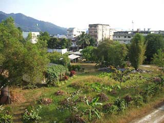 ranongview1