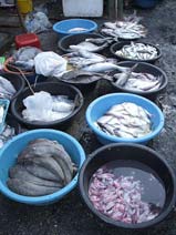 Seafood