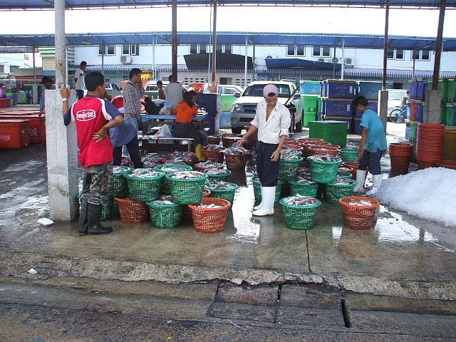 fishingindustry